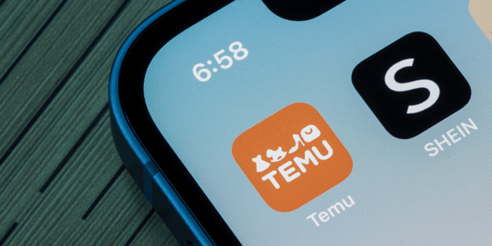 Read more about 'How Gen Z Fashion Brands Shein and Temu Exploit a Legal U.S. Tariff Loophole'